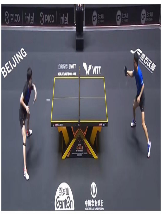 徐寅生直指WTT赛事密集致国乒主力疲惫